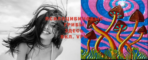 a pvp Карпинск